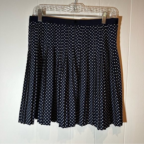 J. Crew Blue and White Polka Dot Skirt Size 4 - Picture 8 of 9